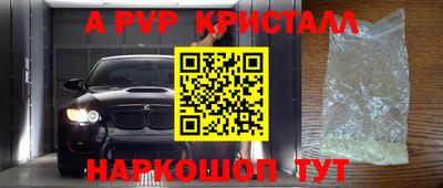 стафф Кинель