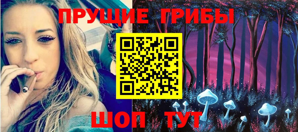 Железноводск  Псилоцибиновые грибы мицелий  Вход с VPN 